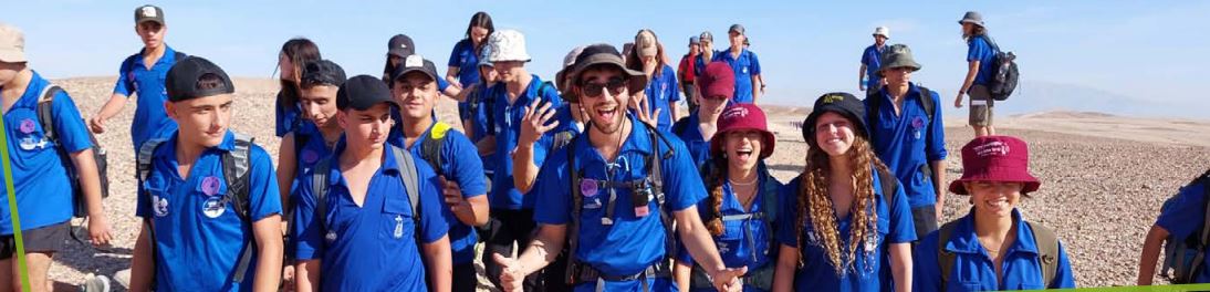 התנועה החדשה