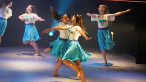 להקות המחול הייצוגיות.JPG