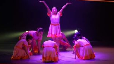 להקות המחול הייצוגיות.JPG