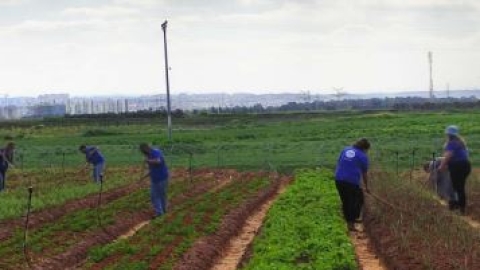 נוער בחווה החקלאית.JPG